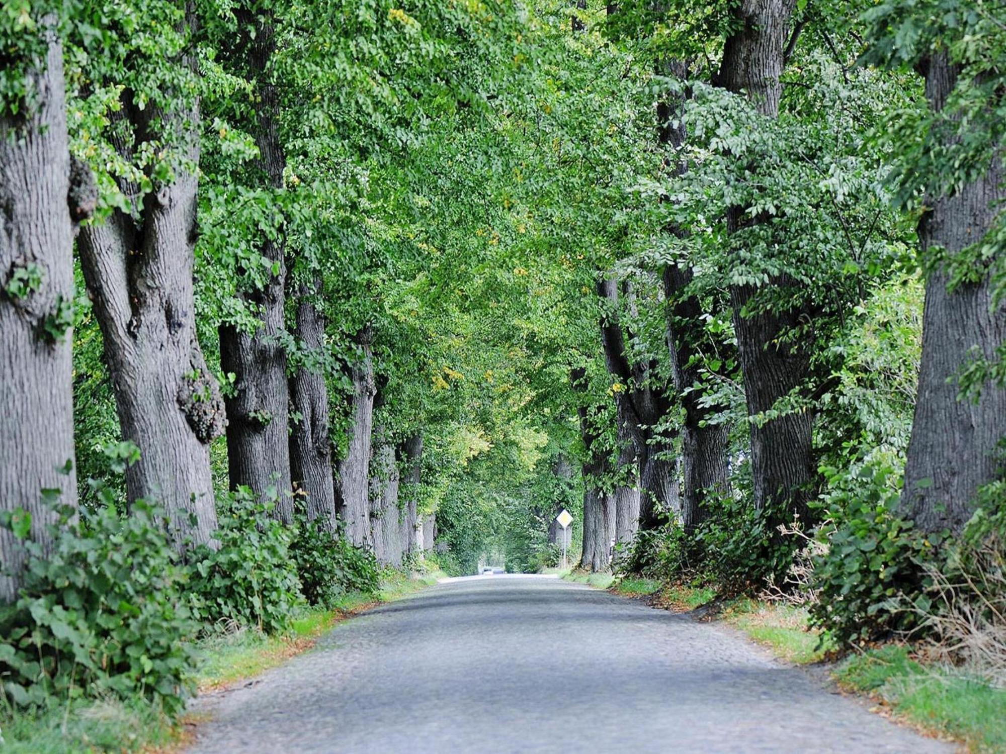 Gutshaus Zicker In Garz Villa Garz  Buitenkant foto